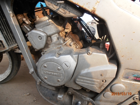 ขาย Serpico SS150    7000บาทไทย