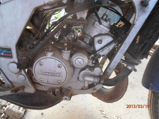 ขาย Serpico SS150    7000บาทไทย