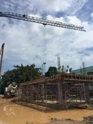 ทาวเวอร์เครน ทาวเวอร์เครน