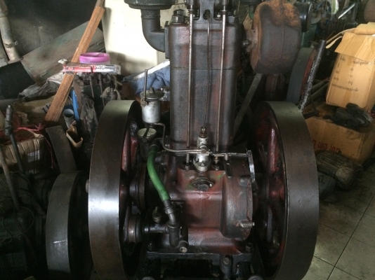 ขายสลาเวีย  16 แรง