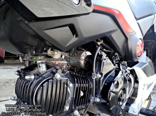 HONDA MSX สีดำ ไมล์ 3000โล ปี2016 ราคา 48,900 โอนให้ฟรีๆ HONDA MSX สีดำ ไมล์ 3000โล ปี2016 ราคา 48,900 โอนให้ฟรีๆ