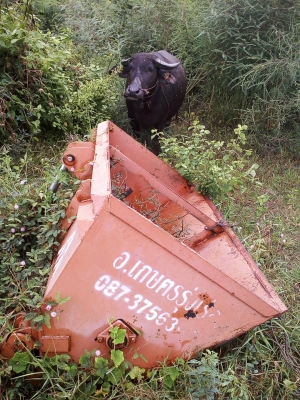 เครื่องหว่านขี่ไก่อุปกรณ์ครบ เครื่องหว่านขี่ไก่อุปกรณ์ครบ