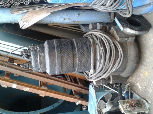 ไดโว่ ไดโว่