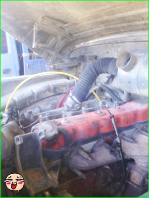 ขายแล้วครับท่าน 300000 บาท  ขอบคุณเสี่ยหมี  อ.มะขาม จันทร์บุรีมากครับ