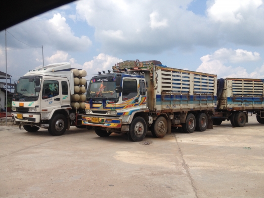 ขายisuzu 270/320 NGV1300000บาท ขายisuzu 270/320 NGV1300000บาท