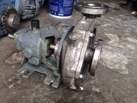 ขายหัวปั้มน้ำหอยโข่งสแตนเลส Honda pumps made in Japan รุ่นแรงดันสูง ขนาดเข้า 1.5นิ้ว ออก 1.5นิ้ว สภาพสวย หมุนนิ่ม พร้อมใช้งาน ขายหัวปั้มน้ำหอยโข่งสแตนเลส Honda pumps made in Japan รุ่นแรงดันสูง ขนาดเข้า 1.5นิ้ว ออก 1.5นิ้ว สภาพสวย หมุนนิ่ม พร้อมใช้งาน
