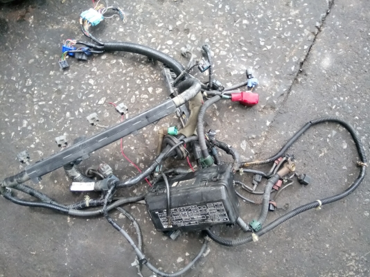 ขายชุดสายไฟเครื่อง แอคคอร์ดงูเห่า เครื่อง f23a