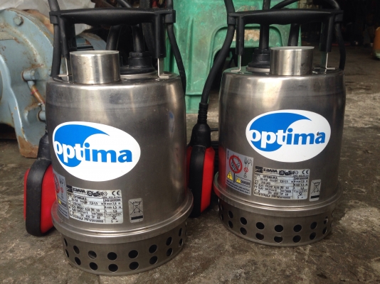 ขายไดโว่ดูดน้ำโครงสร้างสแตนเลส Ebara 1/3HP. 220V ไฟบ้าน made in Italy รุ่นมีสวิทย์ลูกลอยในตัว ของใหม่ไม่เคยใช้งาน มี 2 ตัวครับ