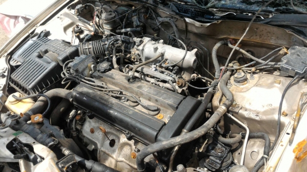 ขายแล้ว