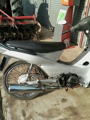 ขายเวฟ110 ขายเวฟ110