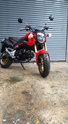 HONDA MSX 125 CC. ปี 2016 รถอายุ 9 เดือน วิ่ง 5,XXX KM ฟรีค่าโอน