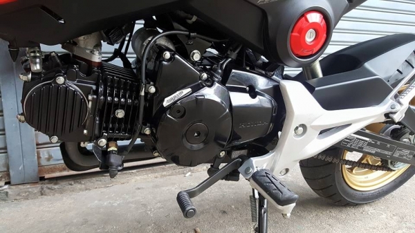 HONDA MSX 125 CC. ปี 2016 รถอายุ 9 เดือน วิ่ง 5,XXX KM ฟรีค่าโอน