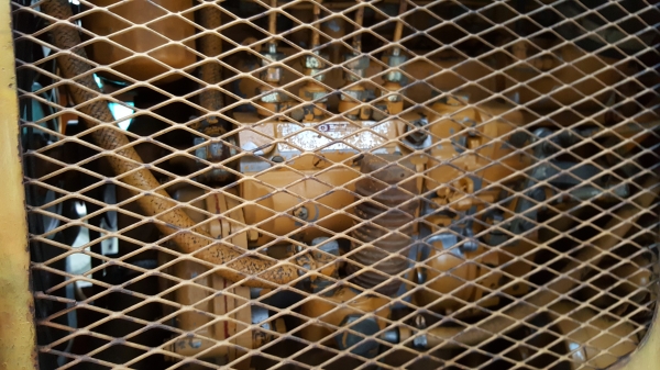 รถตัก507เก่านอกสวยสุดในรุ่น