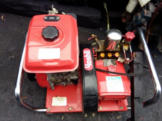 โปรเเรง ขายเหมามาอีกเเล้ว ครับขาย 3 ตัว 30,000 บาท