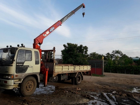 ขายรถบรรทุกหกล้อฮีโน่FF3H เครื่อง 195 แรงม้าHo7d แน่นมากๆๆติดเครนยูนิค 5 ตันท้องวี 3 ปลอก 2 ชักสวยๆๆ