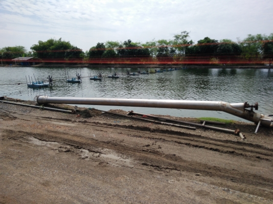 ขายท่อเลสหน้า8