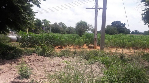 ขายที่ดินทำเลดีติดทางหลวง 18-0-0 ไร่ ใกล้ อ.สีคิ้ว ราคา 1.5 ล้านบาทต่อไร่