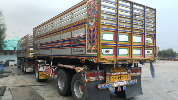 ขายด่วน344 ปี57 รุ่น50ปี ไมล์น้อย140000 สภาพสวย