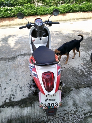 สกู๊ปปี้ไอ สกู๊ปปี้ไอ