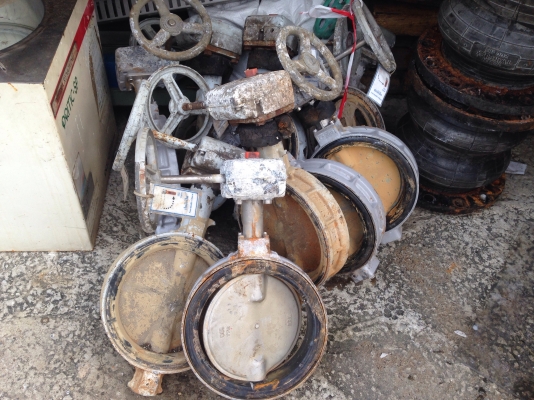 ขายพวงมาลัยวาล์วสแตนเลส Kitz ขนาด 8นิ้ว สภาพดี หมุนนิ่มทุกตัวครับ ราคาตัวละ 2500 บาท