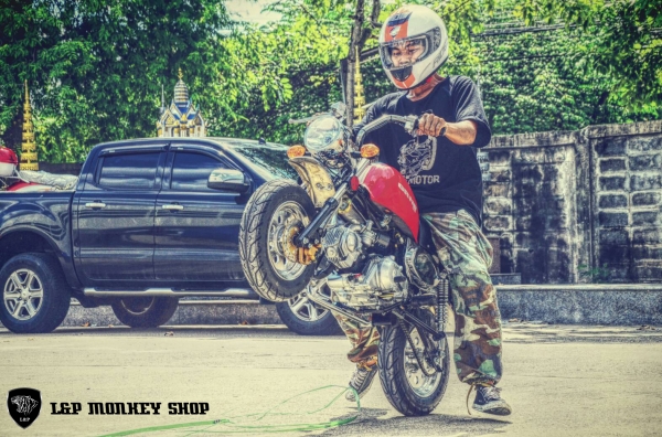 โปรโมชั่นใหม่ที่แสนจะพิเศษ ลดราคาพิเศษ มังกี้ กอลิล่า เดิม!!+สีสันโดนใจ จัดโปรลดพิเศษ ราคาเริ่มที่..