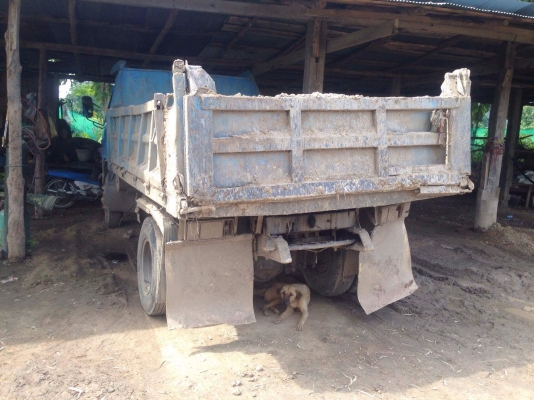 ขายรถ6ล้อดั้ม อีซุซุ npr120 แรงม้า