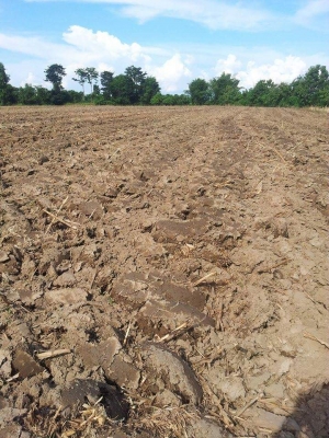 Kubota l1-22 พร้อมผาน ราคาถูกส่งฟรีทั่วไทย