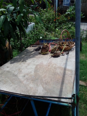 ขายพ่วงข้าง1x1.20 M