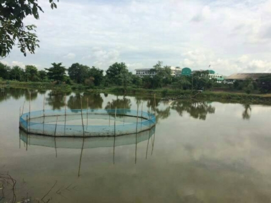 ขายที่ดินลาดกระบัง อำเภอลำปลาทิว เนื้อที่ 1 ไร่ 3 งาน 90 ตร.ว.