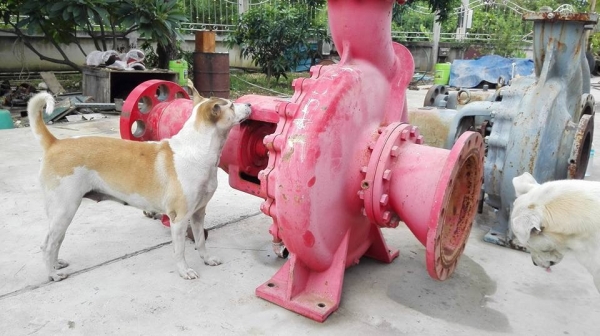 ** SOLD ** ปั้มน้ำหอยโข่งญี่ปุ่น KAWAMOTO Made in JAPAN ใบเหล็กใช้กับมอเตอร์ 250 HP เข้า 8"- 6" ของสดลงตู้ไม่เคยใช้ในบ้านเรา