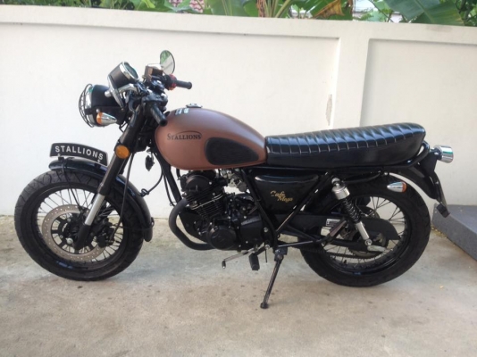 Stallions Centaur Cafe Mega รถ 6 เดือน รุ่นพิเศษ Stallions Centaur Cafe Mega รถ 6 เดือน รุ่นพิเศษ