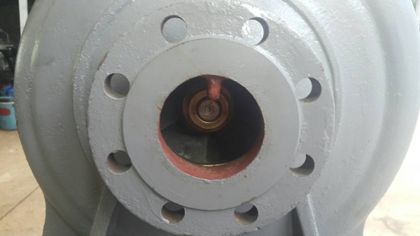 หอยโข่ง อีบาร่าเข้า 4 นิ้วออก 2.5 นิ้ว ส่งนํ้าสูง+แรงๆ