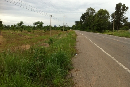 ต้องการขายที่ดินพร้อมต้นยางพารา จำนวน  25 ไร่ หน้ากว้าง 200 เมตร ติดถนนดำ เจ้าของขายเอง อ.ภูเวียง   มีระบบน้ำหยดใส่ต้นยางพาราทุกต้น