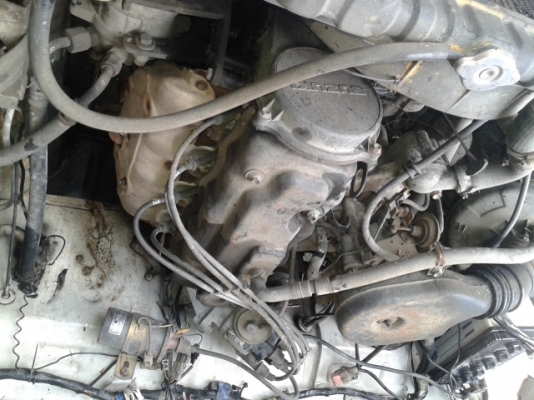 คาริเบี้ยน ปี 33 ลด 54500.-