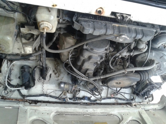 คาริเบี้ยน ปี 33 ลด 54500.-