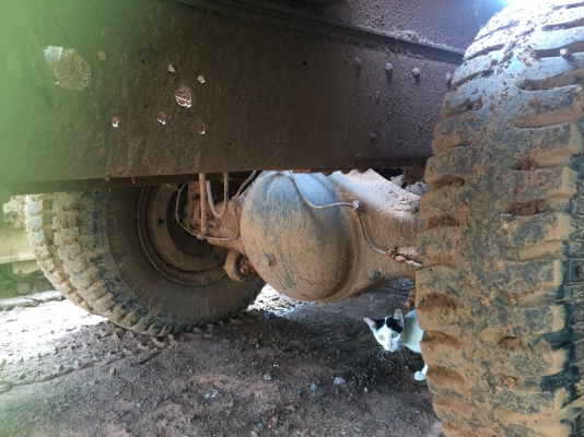 ขายรถหางปลาขึ้น200 ขายรถหางปลาขึ้น200