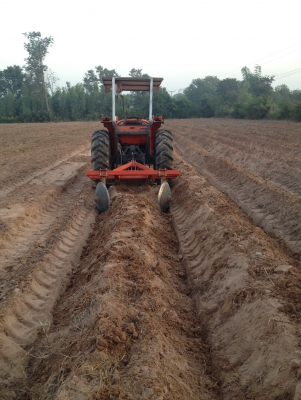 ขายรถตักคูโบต้า L4202 เทอร์โบ เก่านอกญี่ปุ่น มือ1ไทย เครื่องแน่นๆแรงๆ พร้อมผาน5/22 ตราช้าง