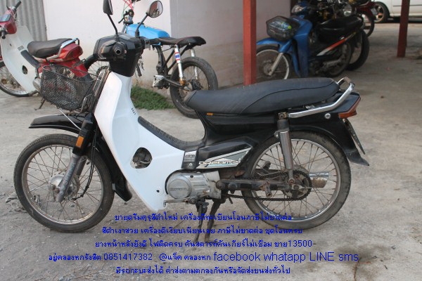 ขายดรีมคุรุ ขาว น้ำตาล ดำมี3คัน ทะเบียนโอนทุกคัน สภาพดีราคาถูกๆ ขายดรีมคุรุ ขาว น้ำตาล ดำมี3คัน ทะเบียนโอนทุกคัน สภาพดีราคาถูกๆ