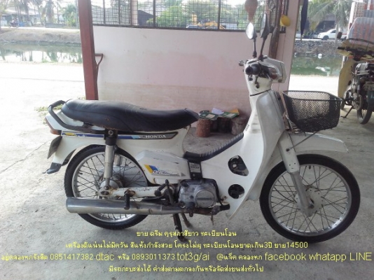 ขายดรีมคุรุ ขาว น้ำตาล ดำมี3คัน ทะเบียนโอนทุกคัน สภาพดีราคาถูกๆ ขายดรีมคุรุ ขาว น้ำตาล ดำมี3คัน ทะเบียนโอนทุกคัน สภาพดีราคาถูกๆ