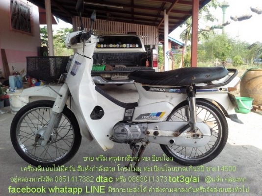 ขายดรีมคุรุ ขาว น้ำตาล ดำมี3คัน ทะเบียนโอนทุกคัน สภาพดีราคาถูกๆ ขายดรีมคุรุ ขาว น้ำตาล ดำมี3คัน ทะเบียนโอนทุกคัน สภาพดีราคาถูกๆ