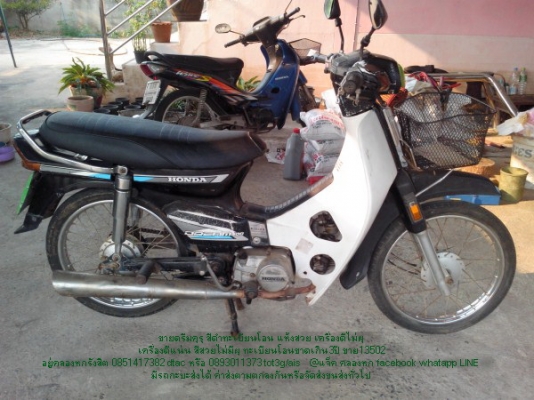 ขายดรีมคุรุ ขาว น้ำตาล ดำมี3คัน ทะเบียนโอนทุกคัน สภาพดีราคาถูกๆ ขายดรีมคุรุ ขาว น้ำตาล ดำมี3คัน ทะเบียนโอนทุกคัน สภาพดีราคาถูกๆ