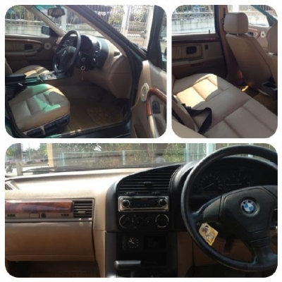 BMW นกแก้ว BMW นกแก้ว