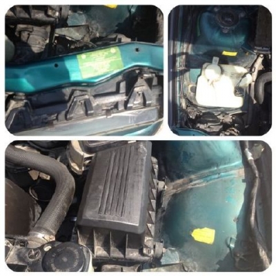 BMW นกแก้ว BMW นกแก้ว