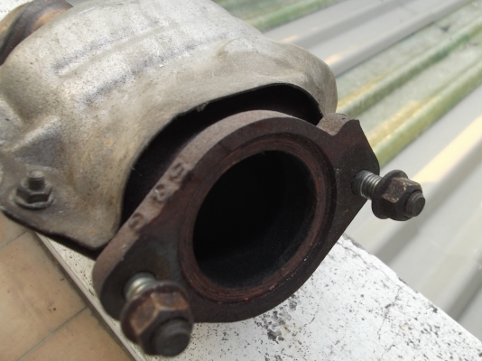 ขายแคทครับ ขายแคทครับ