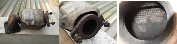 ขายแคทครับ