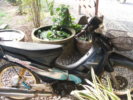 ขาย เวฟ 110 cc