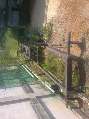 ขายกระบะ3มิตร กระบอกดัมพ์