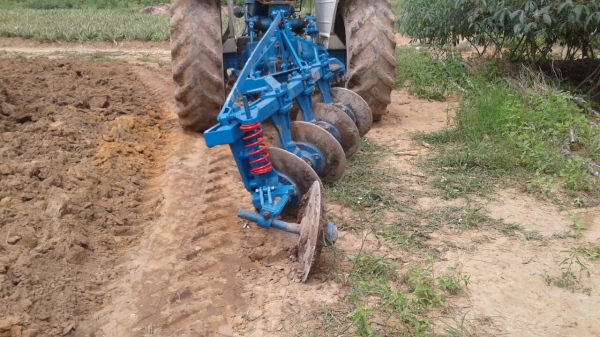 ขายด่วน