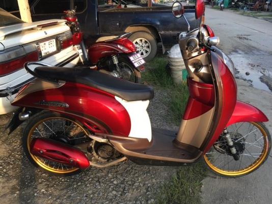 scoopy i สวยๆ ปี53 เอกสารครบ