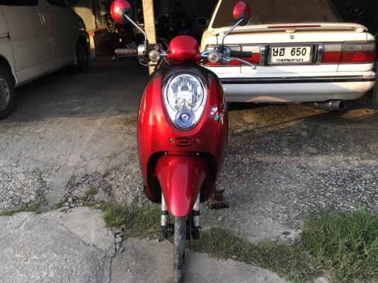 scoopy i สวยๆ ปี53 เอกสารครบ
